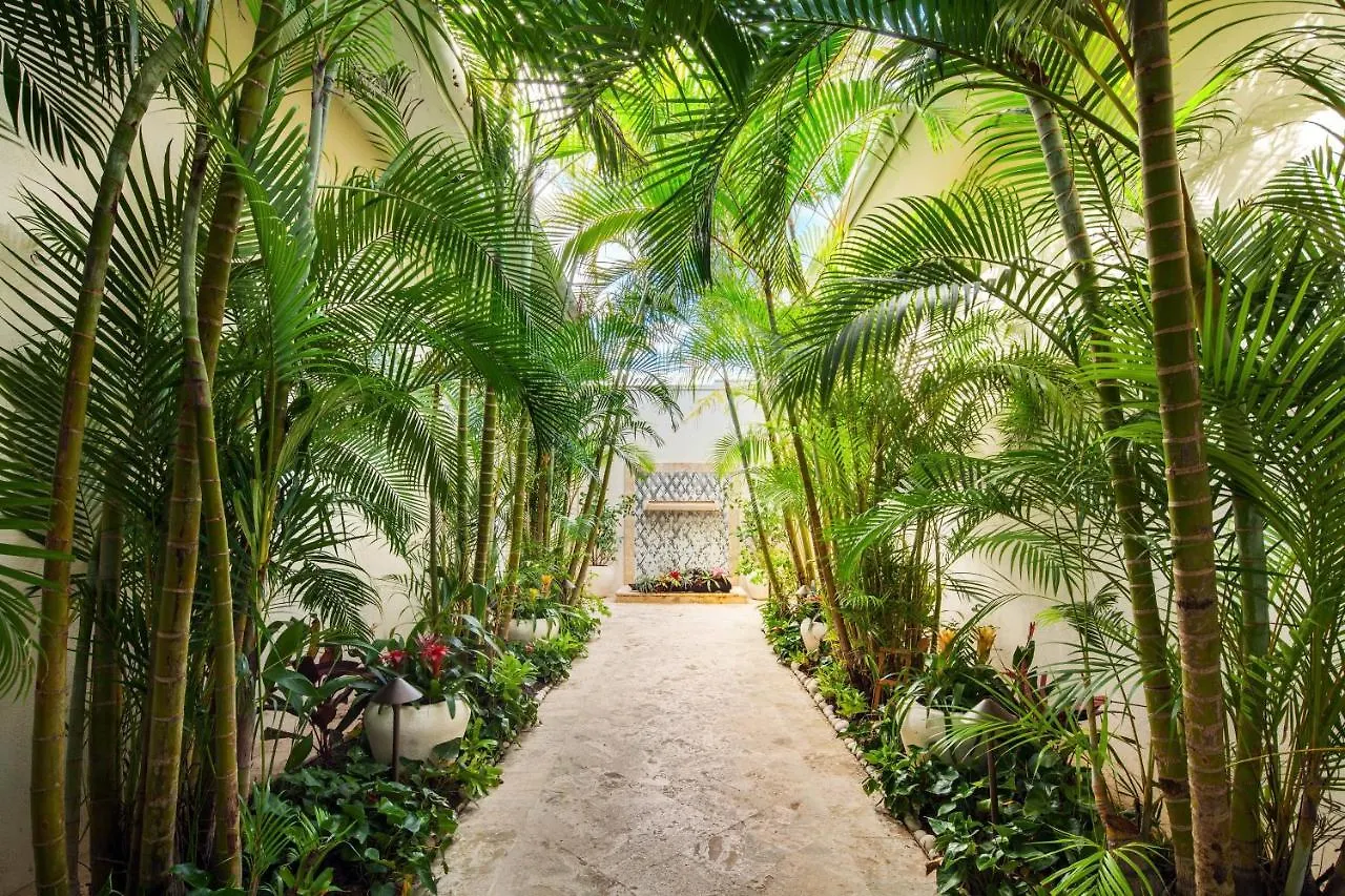 St. Regis Bahia Beach Resort, Puerto Rico Rio Grande Resort