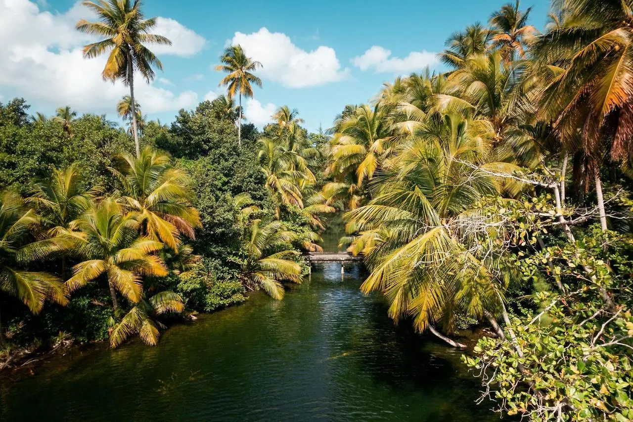St. Regis Bahia Beach Resort, Puerto Rico Rio Grande