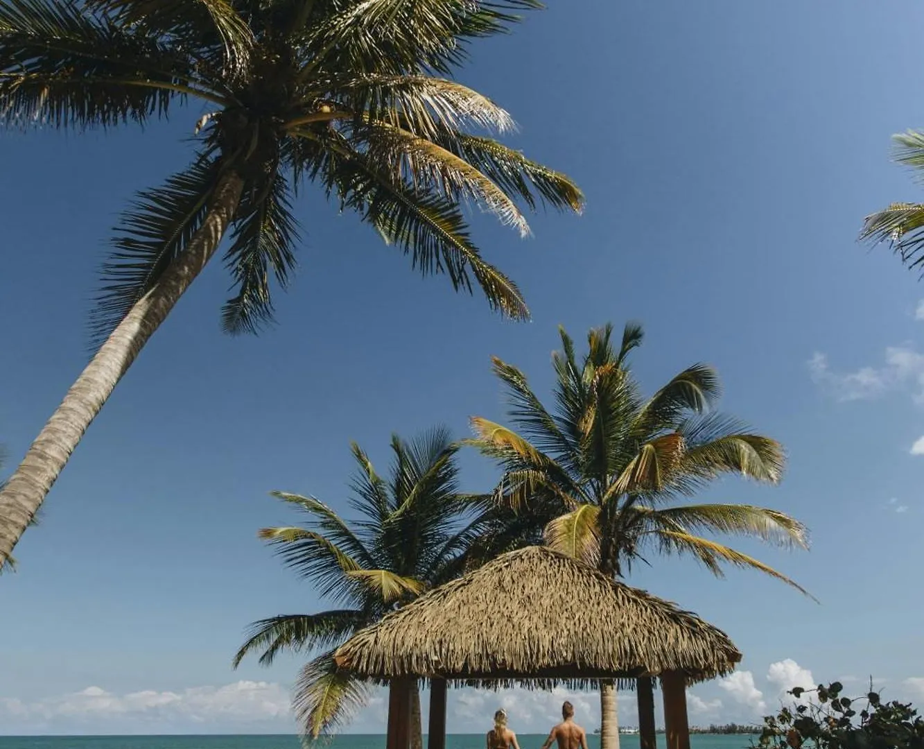 Resort St. Regis Bahia Beach Resort, Puerto Rico Rio Grande
