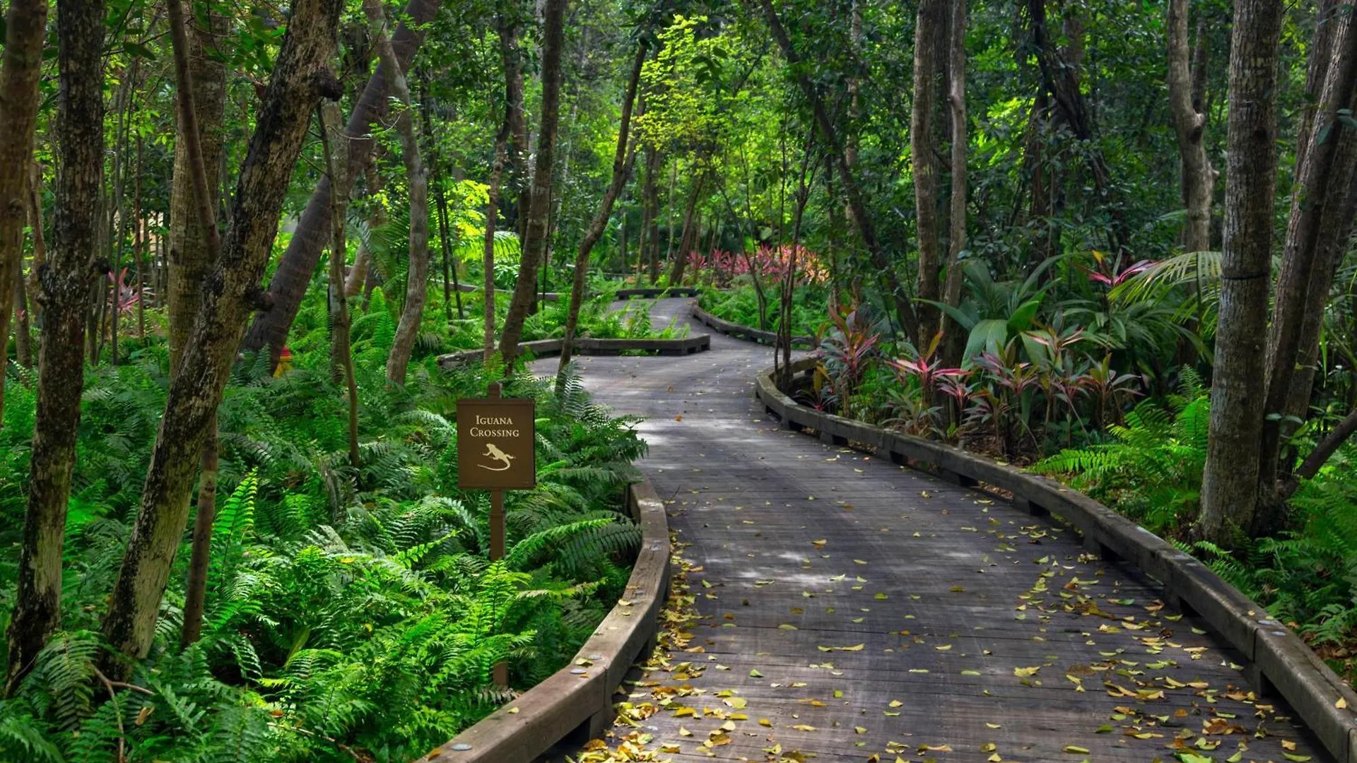 St. Regis Bahia Beach Resort, Puerto Rico Rio Grande Θέρετρο